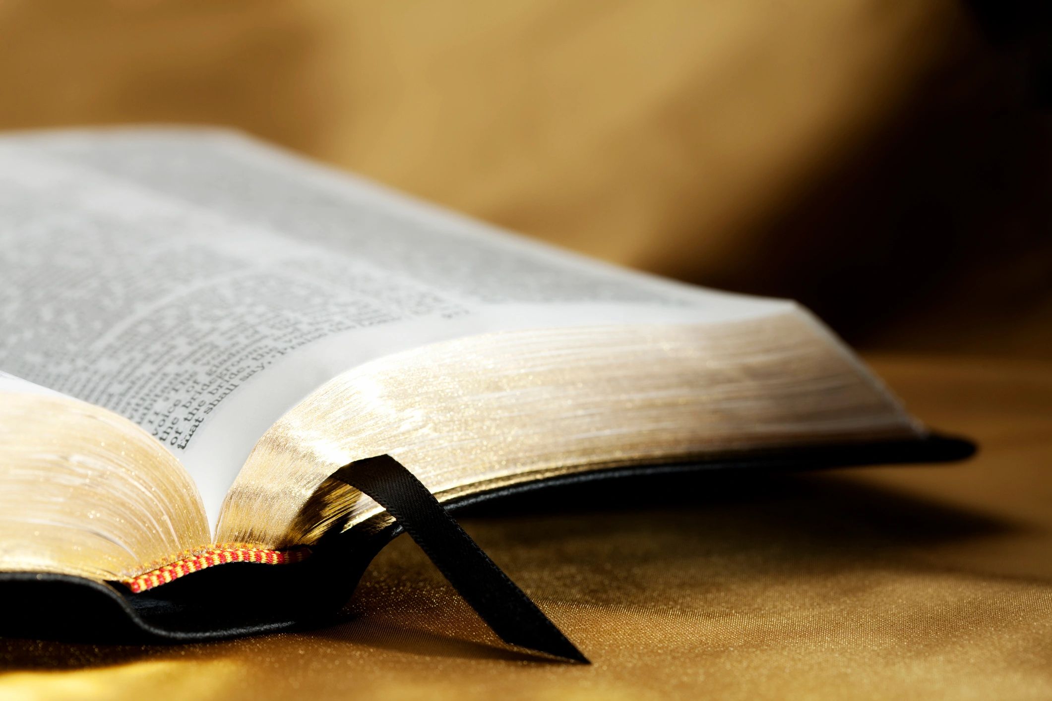 Open Bible resting on a warm gold background