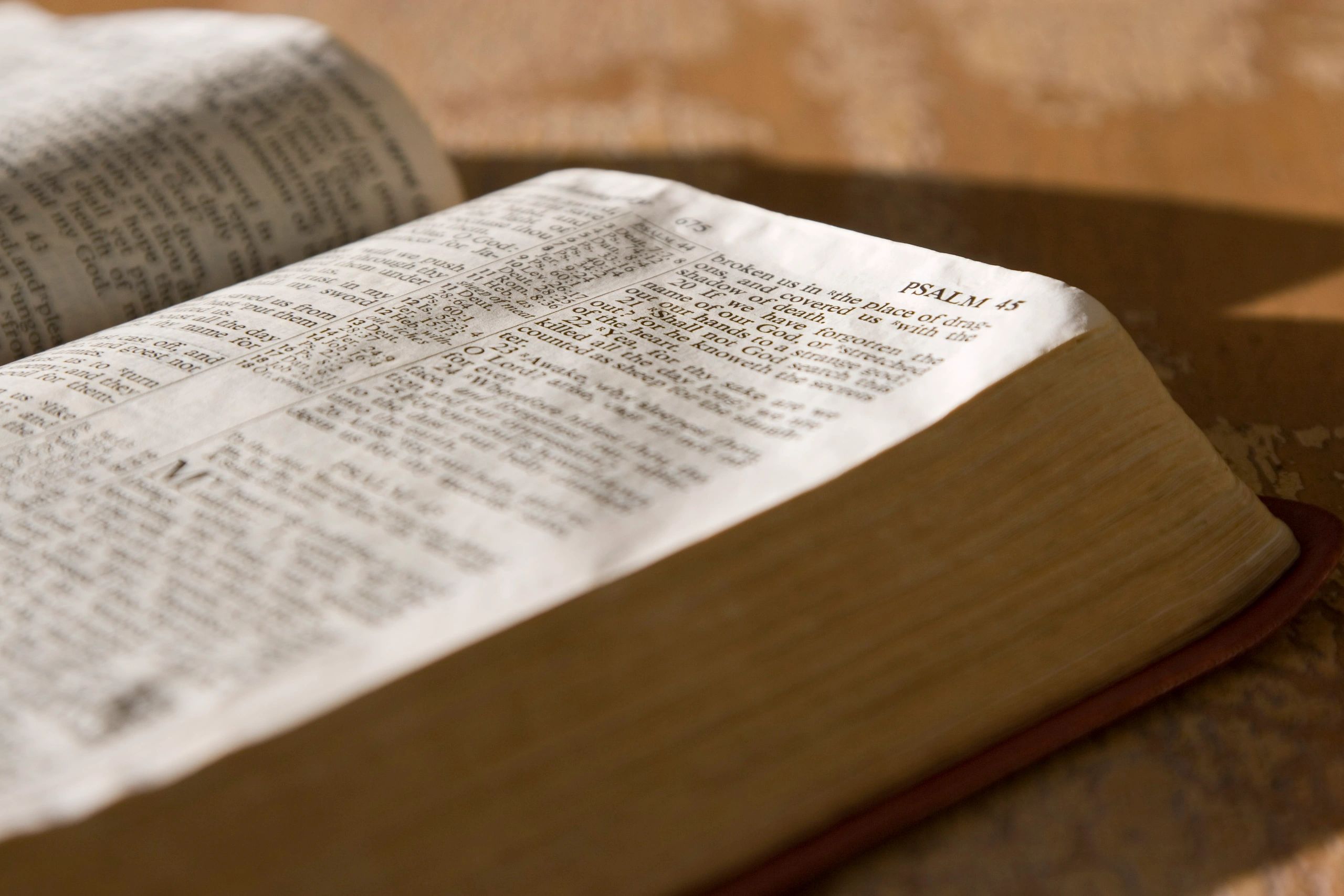 Close-up of a Bible open to the book of Psalms
